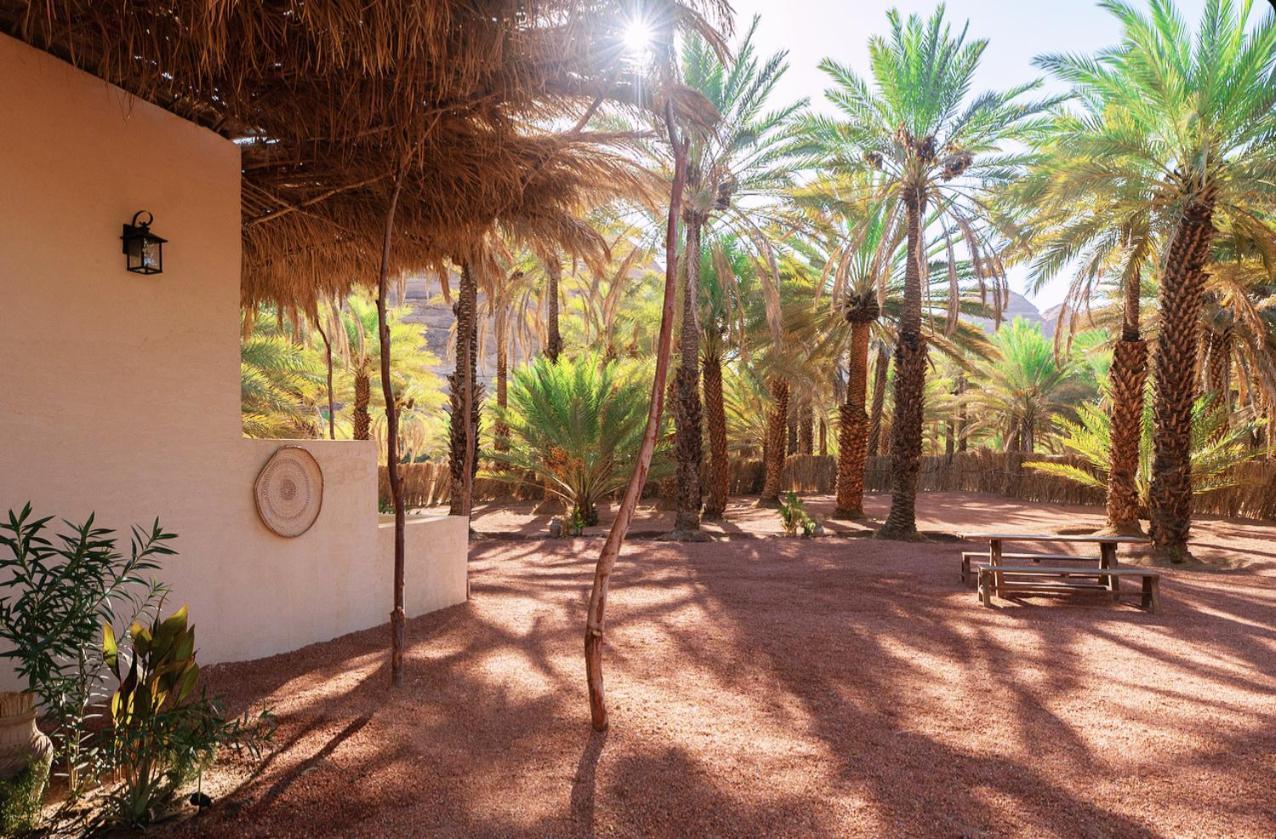 Under Las Palms Alula Hotel Madain Saleh Exterior photo