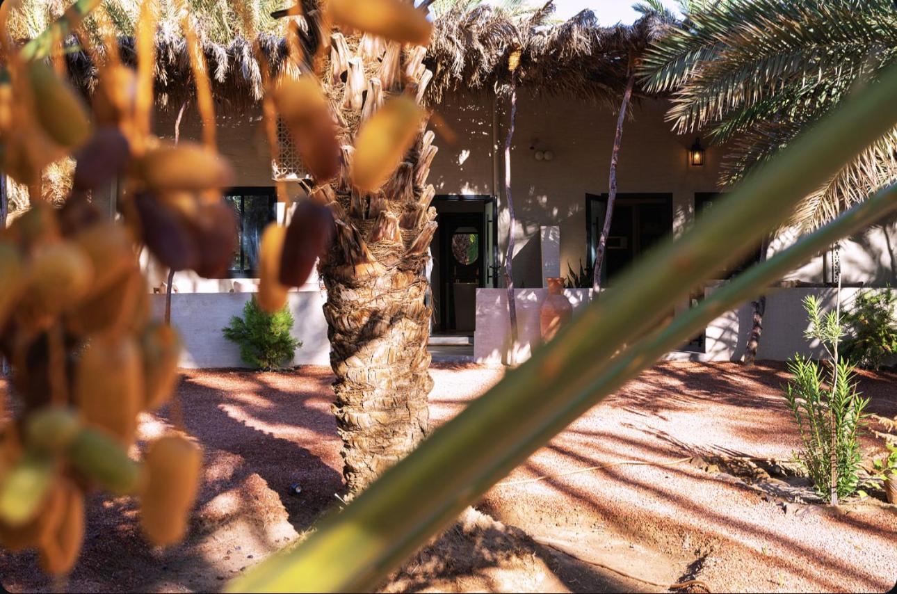 Under Las Palms Alula Hotel Madain Saleh Exterior photo