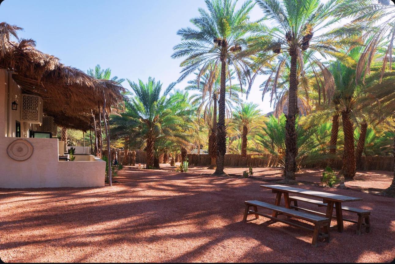 Under Las Palms Alula Hotel Madain Saleh Exterior photo